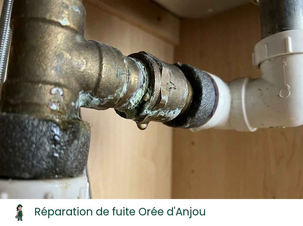 Réparation de fuite à Orée d'Anjou